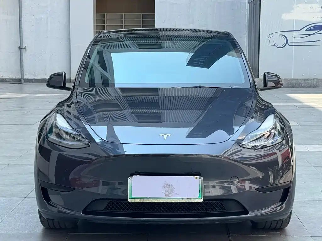 Tesla Model Y — фото 2