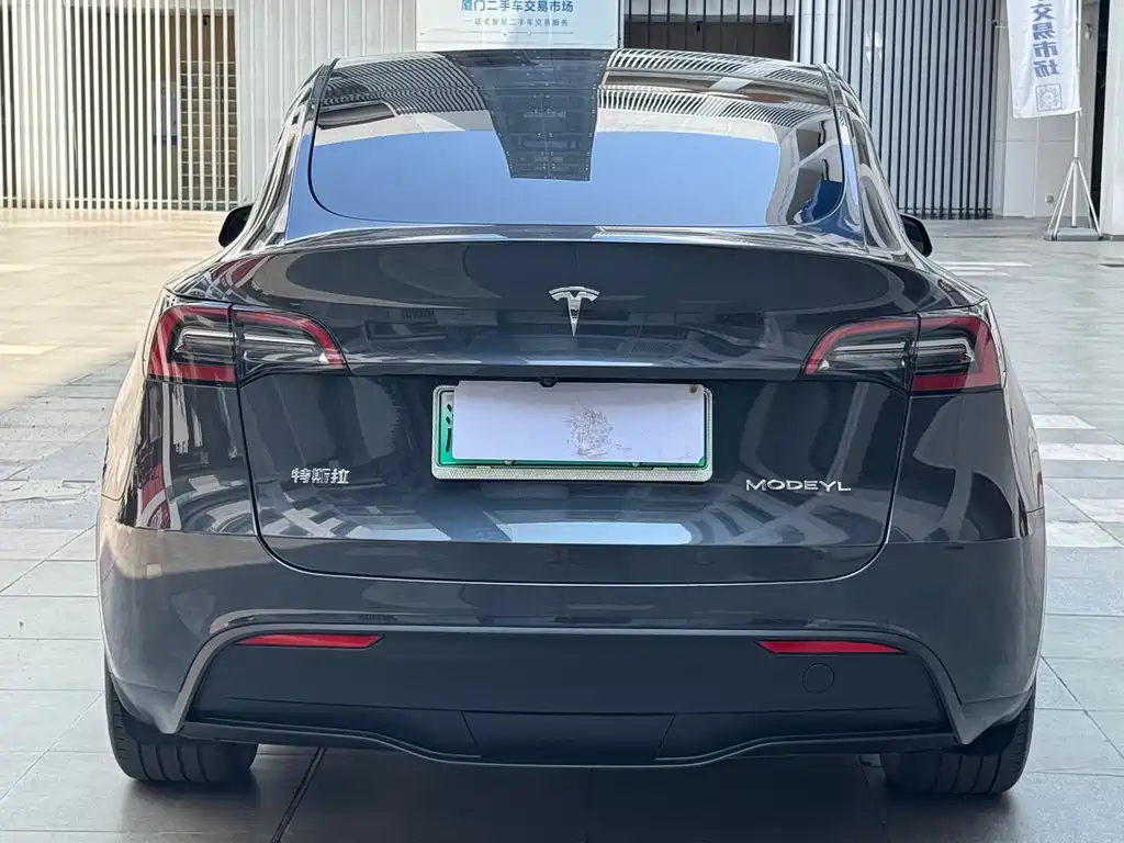 Tesla Model Y — фото 13