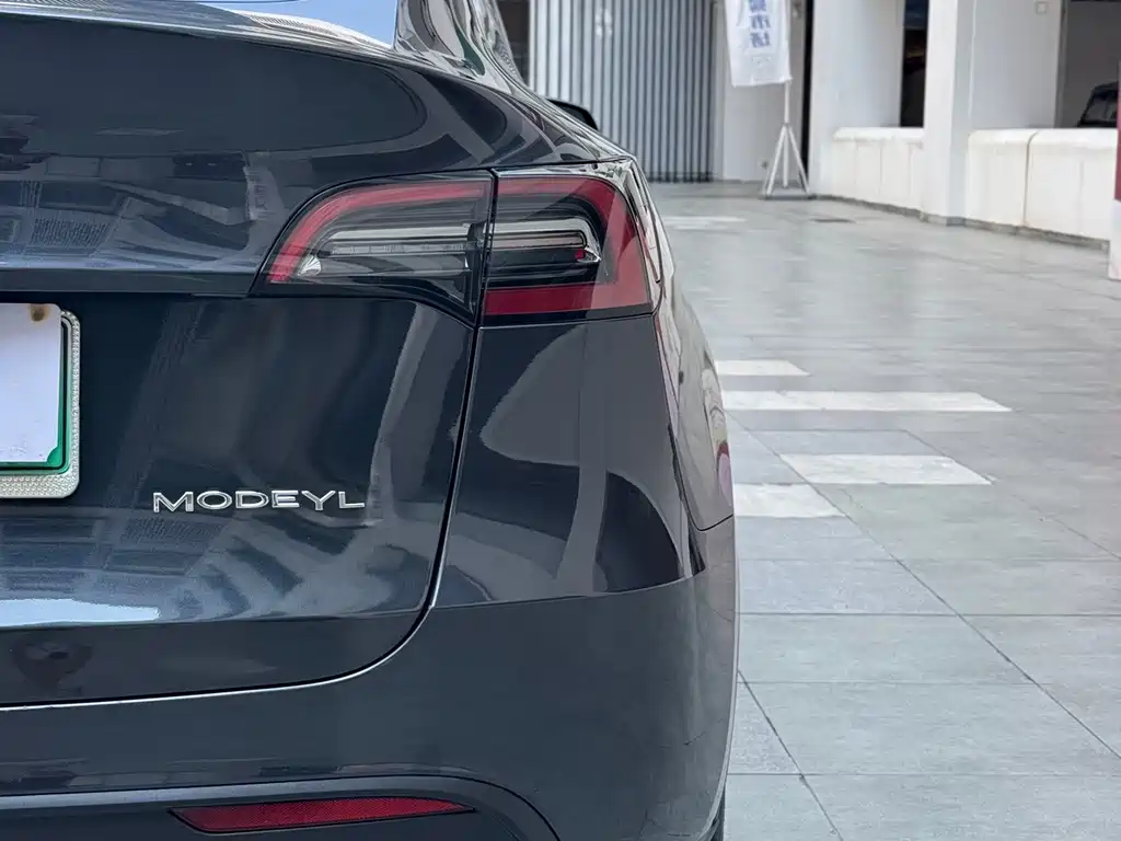Tesla Model Y — фото 15