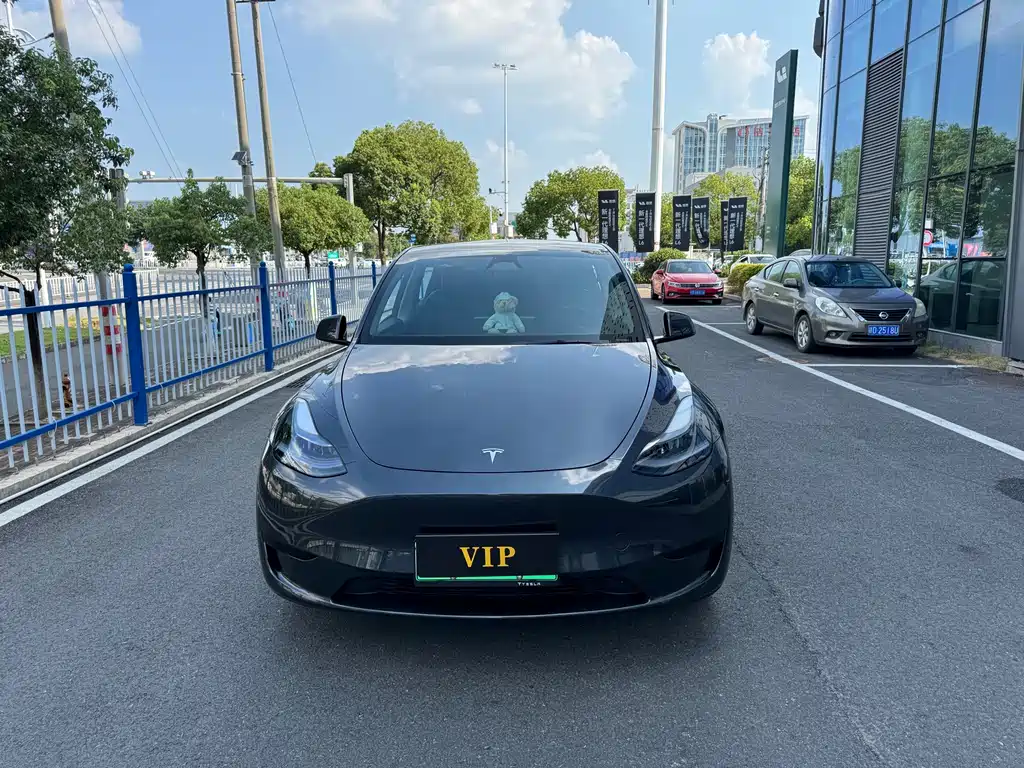 Tesla Model Y — фото 2