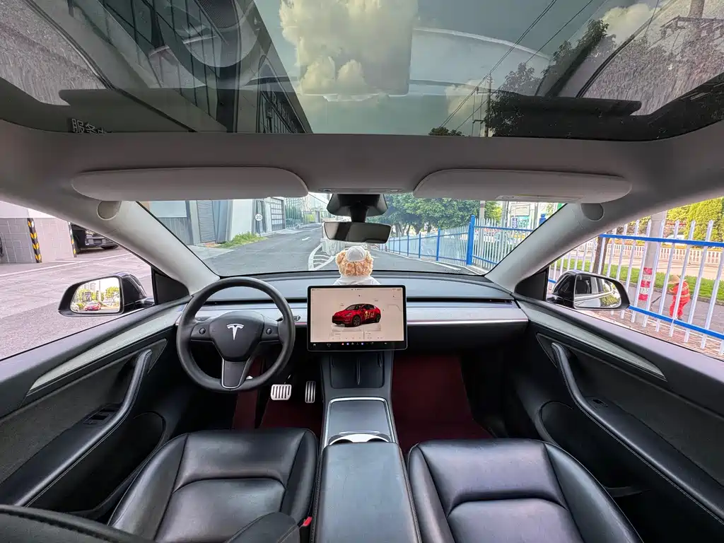 Tesla Model Y — фото 9
