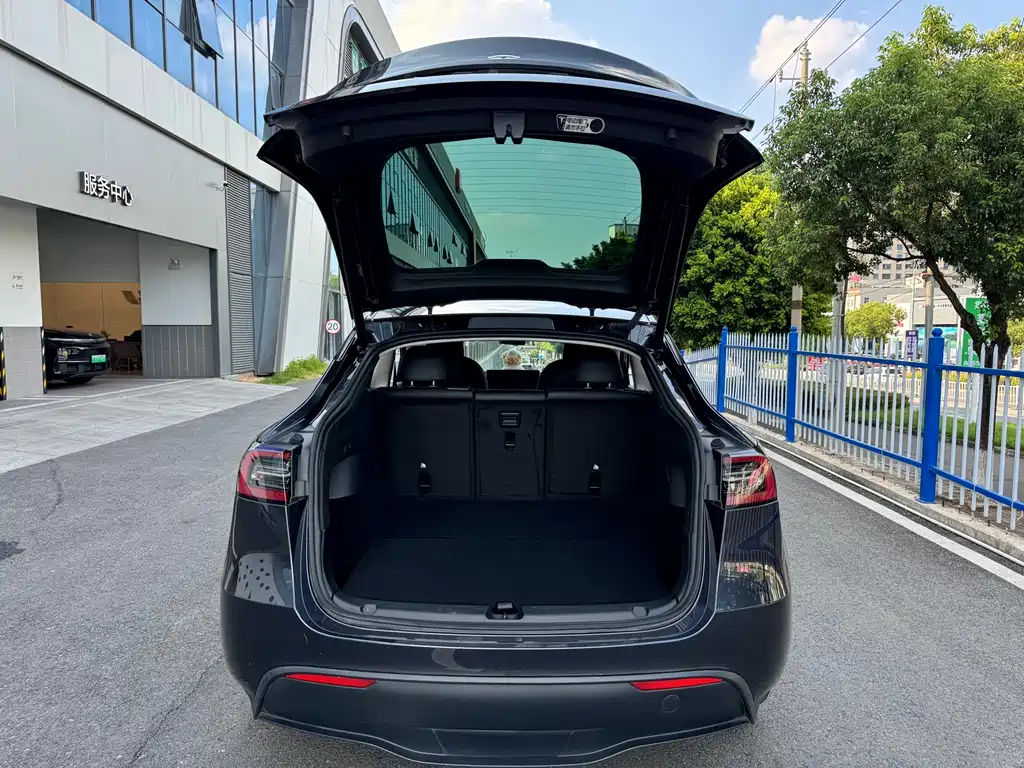 Tesla Model Y — фото 10