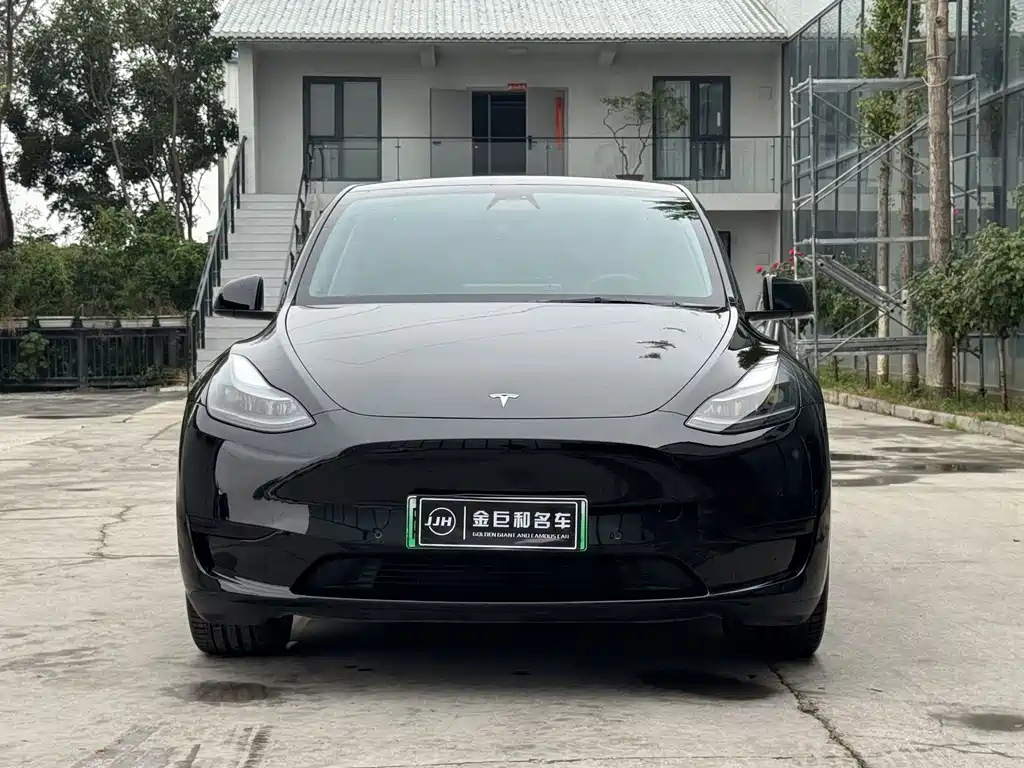 Tesla Model Y — фото 2