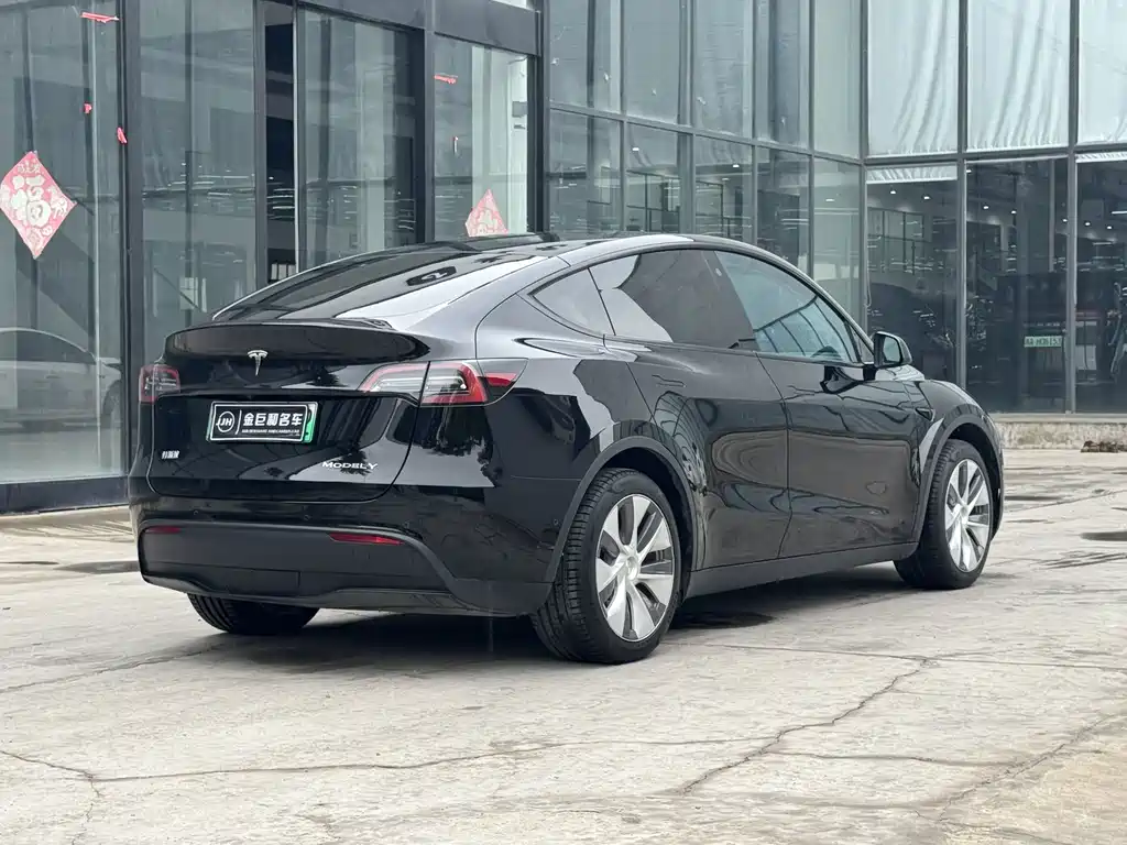 Tesla Model Y — фото 15