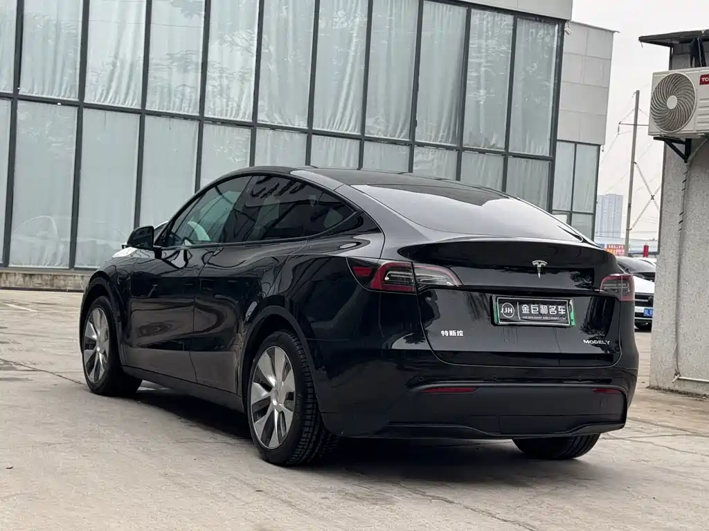 Tesla Model Y — фото 17