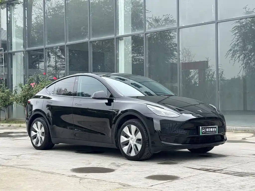 Tesla Model Y — фото 3