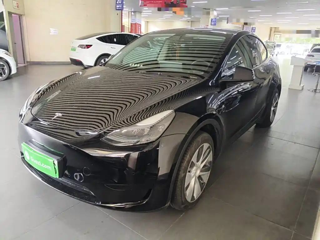 Tesla Model Y — фото 2