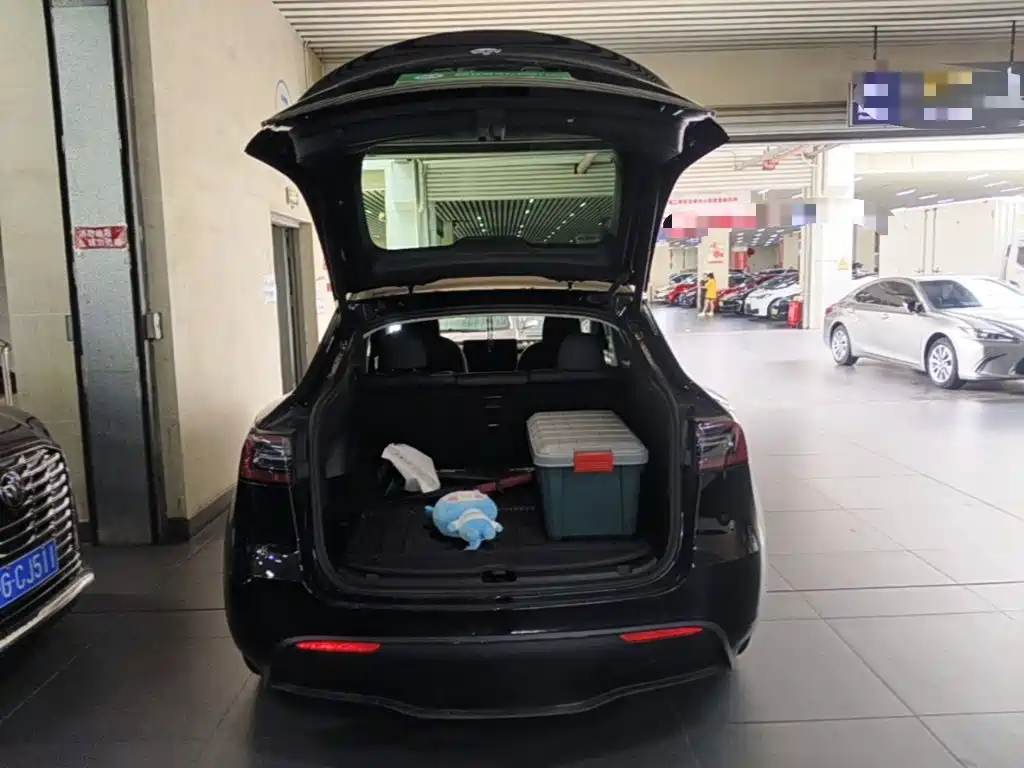 Tesla Model Y — фото 19