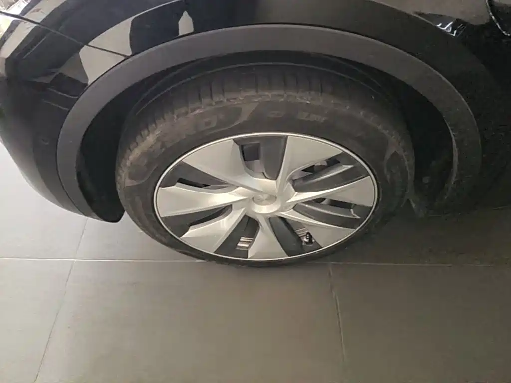 Tesla Model Y — фото 23