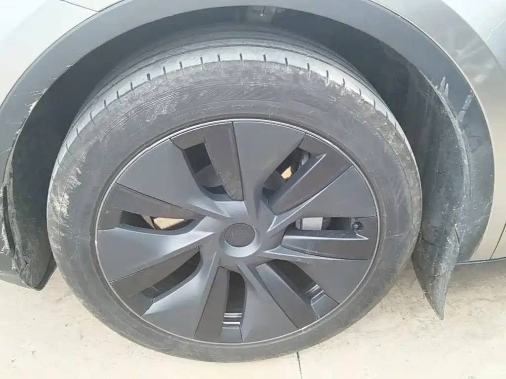 Tesla Model Y — фото 23