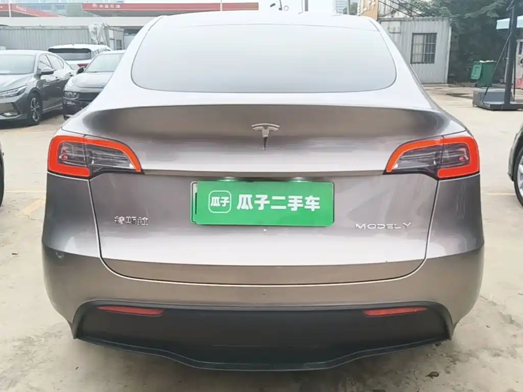 Tesla Model Y — фото 6