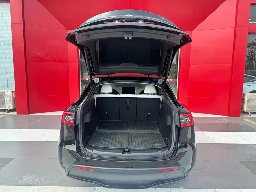 Tesla Model Y — фото 15