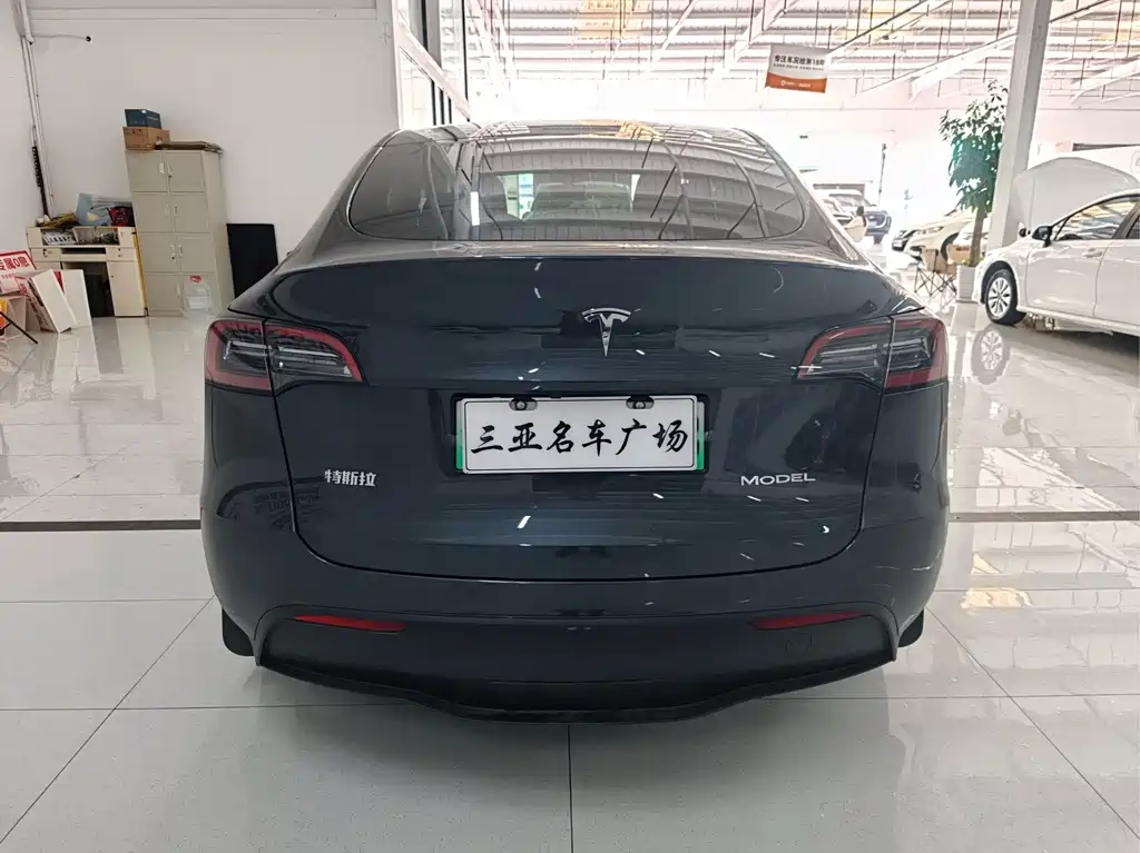 Tesla Model Y — фото 8