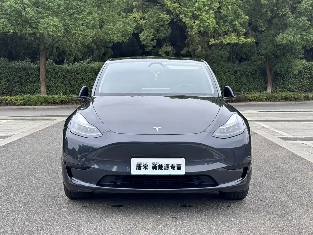 Tesla Model Y — фото 2