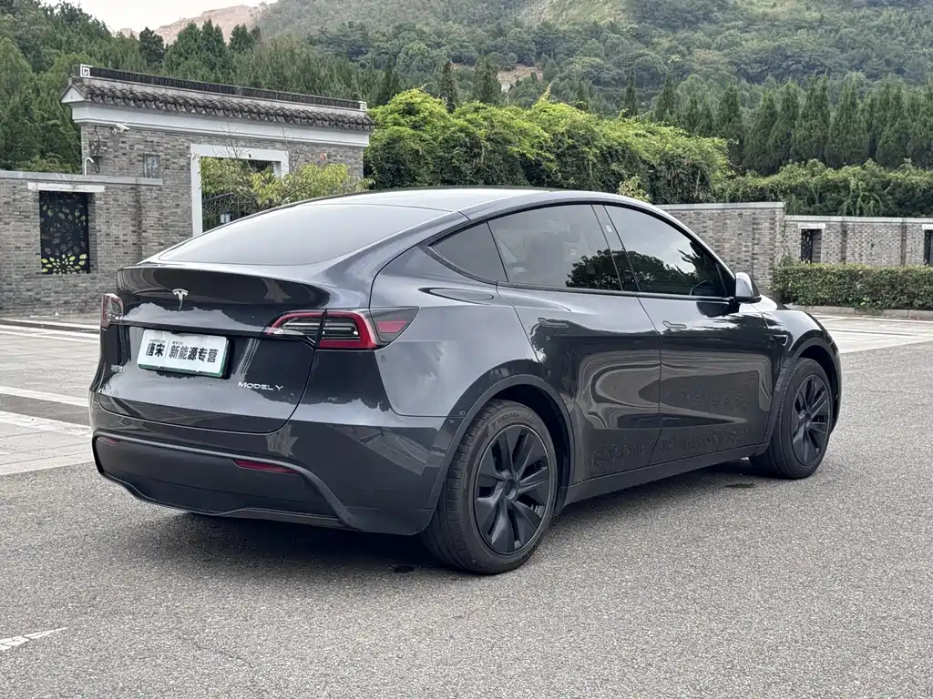 Tesla Model Y — фото 5