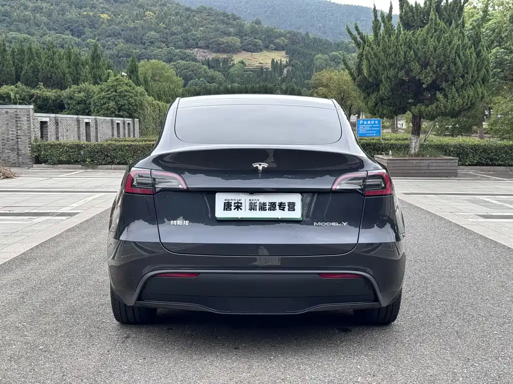 Tesla Model Y — фото 6
