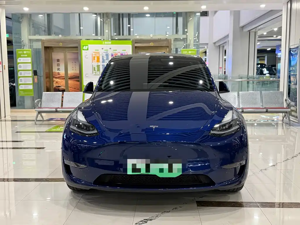 Tesla Model Y — фото 2