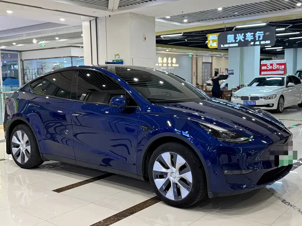 Tesla Model Y — фото 3