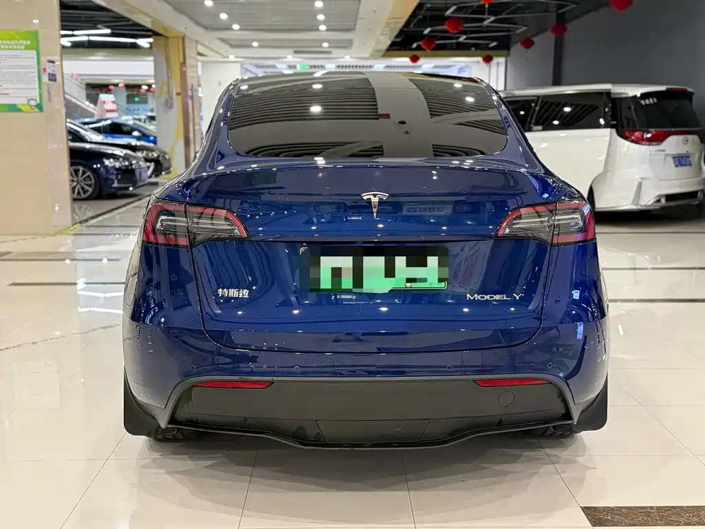 Tesla Model Y — фото 8