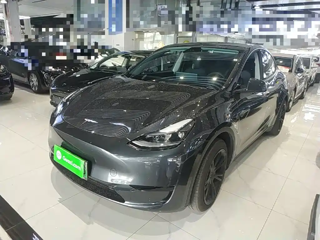 Tesla Model Y — фото 2