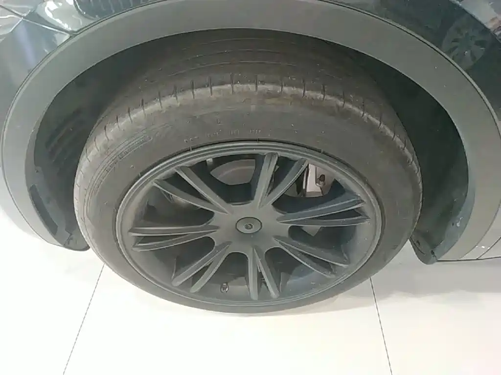 Tesla Model Y — фото 23