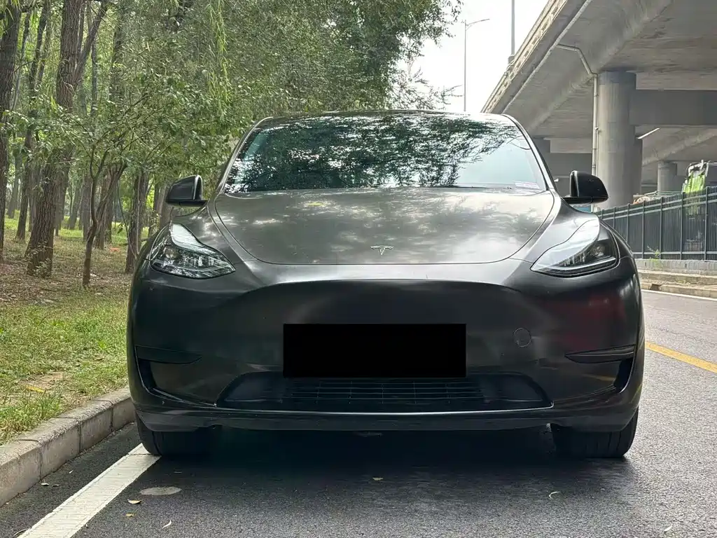 Tesla Model Y — фото 2