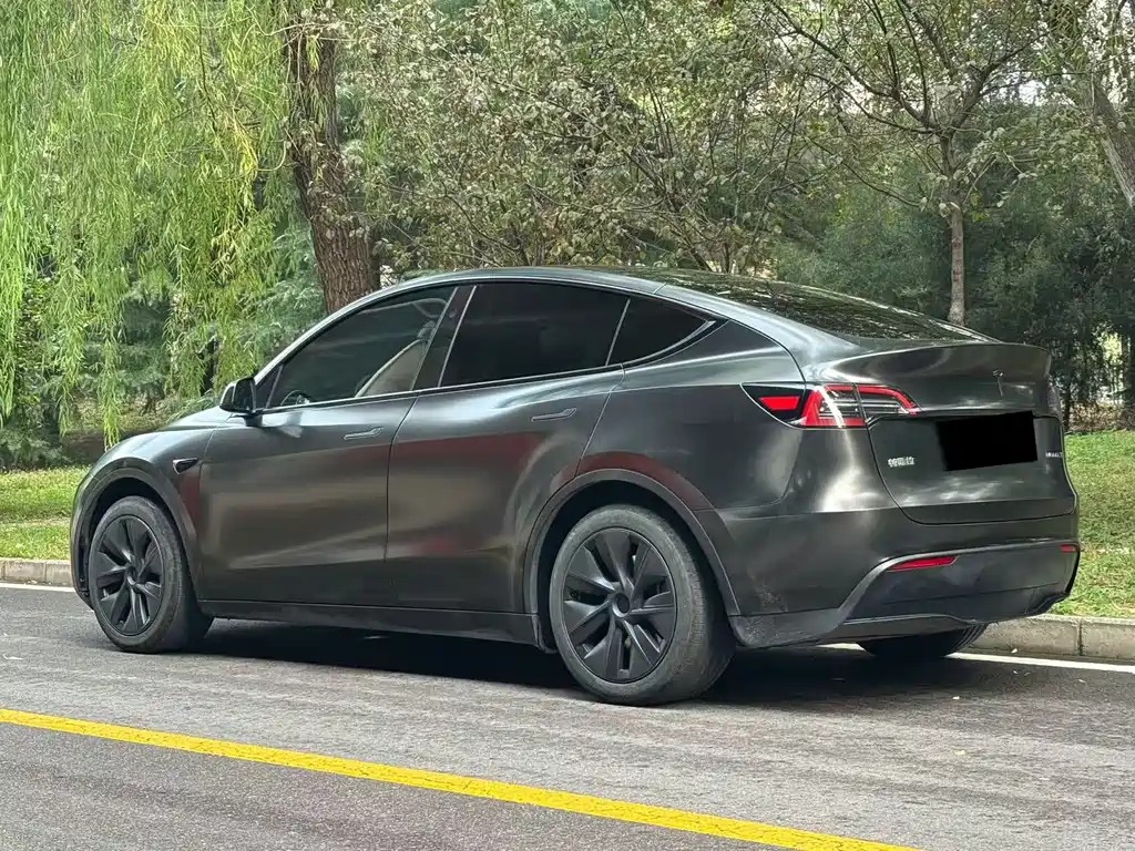 Tesla Model Y — фото 4