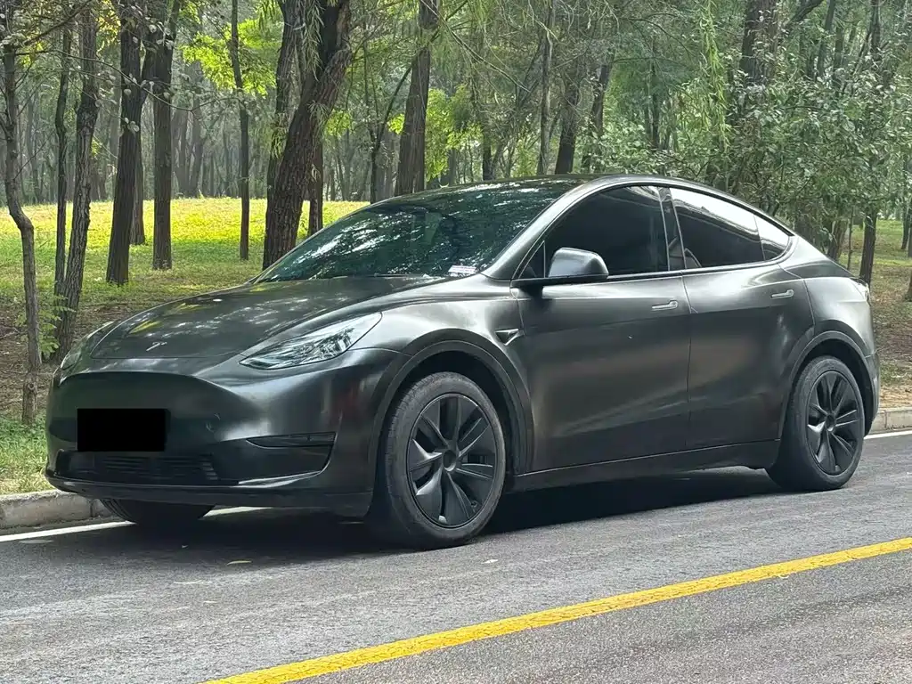 Tesla Model Y — фото 1