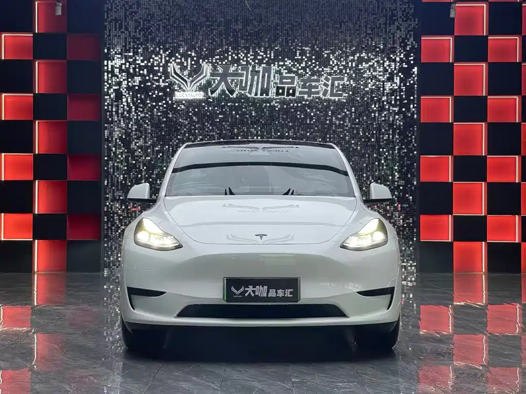 Tesla Model Y — фото 2