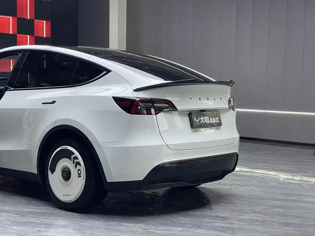 Tesla Model Y — фото 6