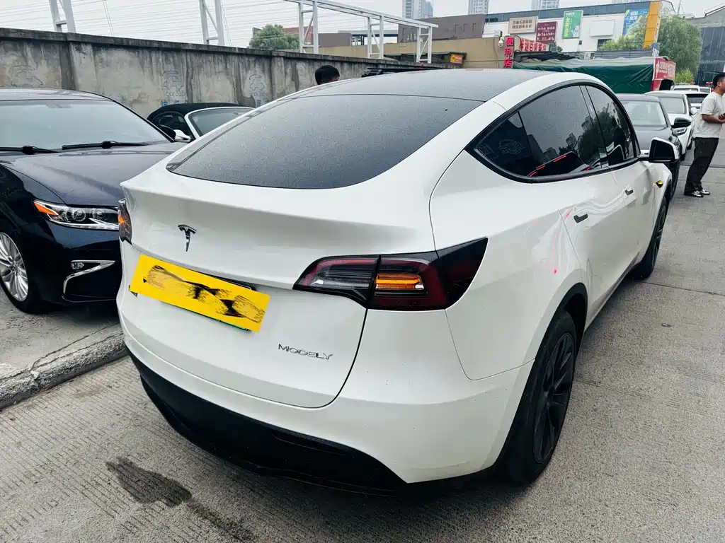 Tesla Model Y — фото 2
