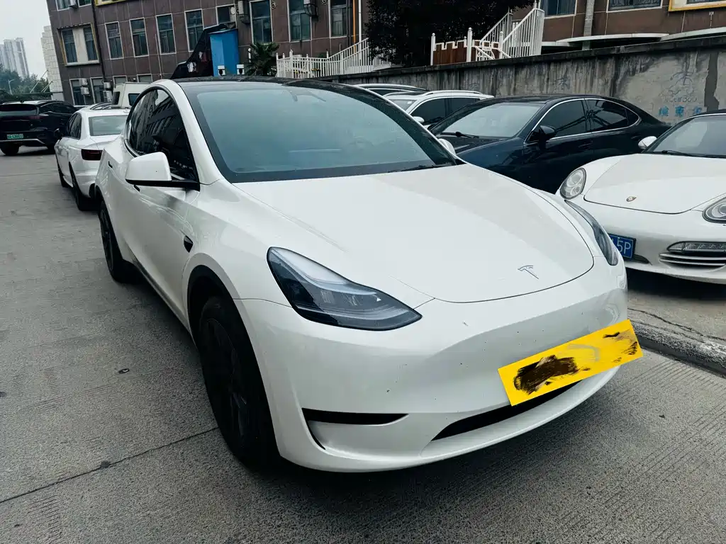 Tesla Model Y — фото 3