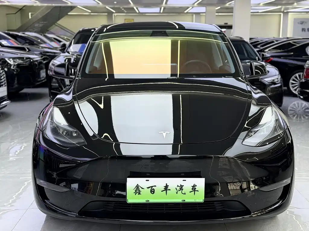 Tesla Model Y — фото 2
