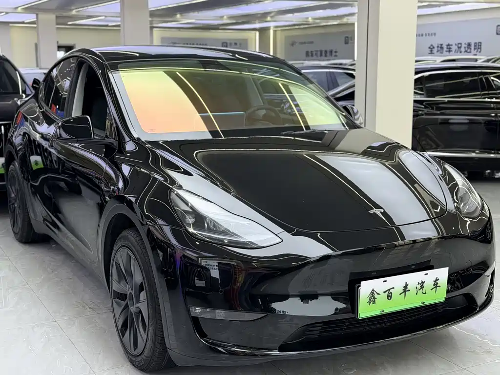 Tesla Model Y — фото 3