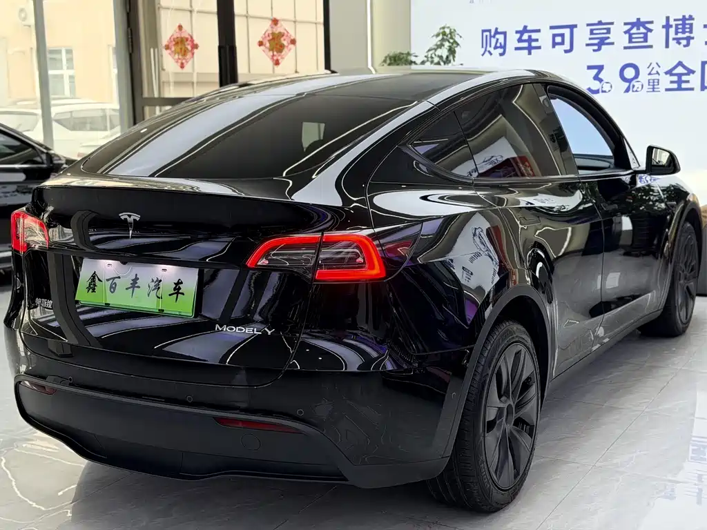 Tesla Model Y — фото 8