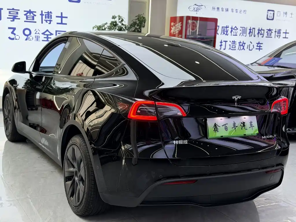 Tesla Model Y — фото 10