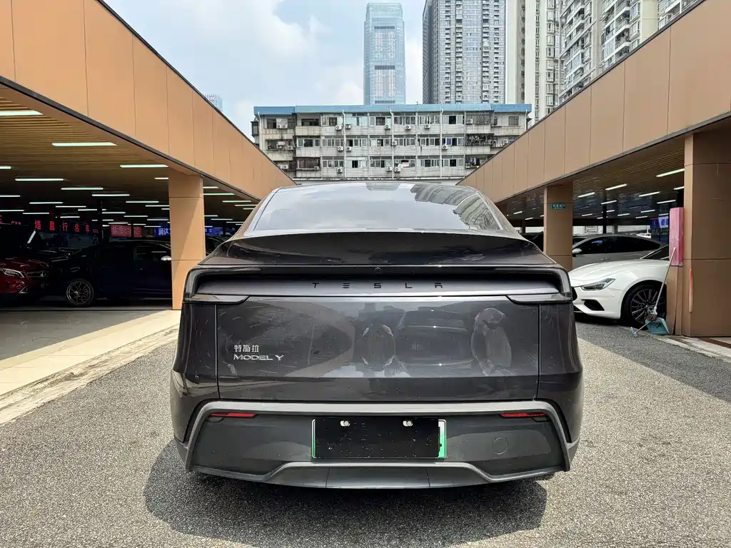 Tesla Model Y — фото 4