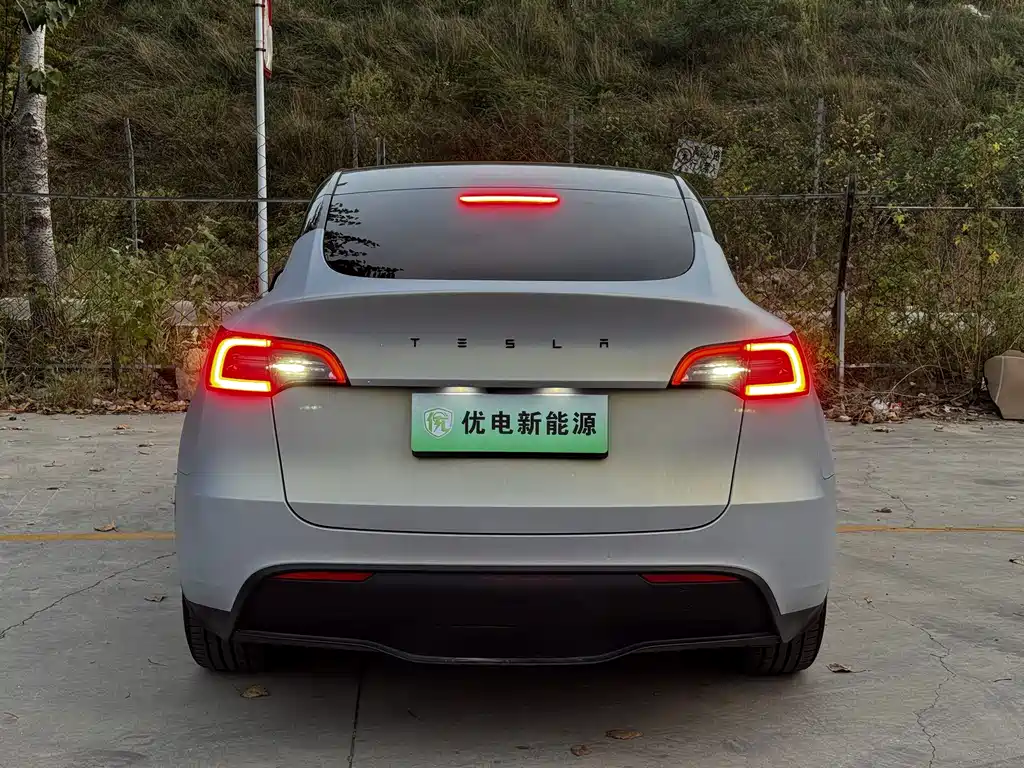 Tesla Model Y — фото 2