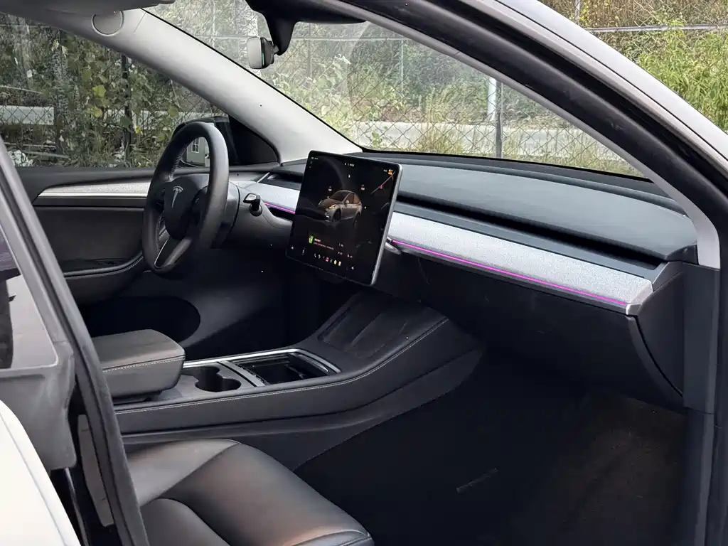 Tesla Model Y — фото 14
