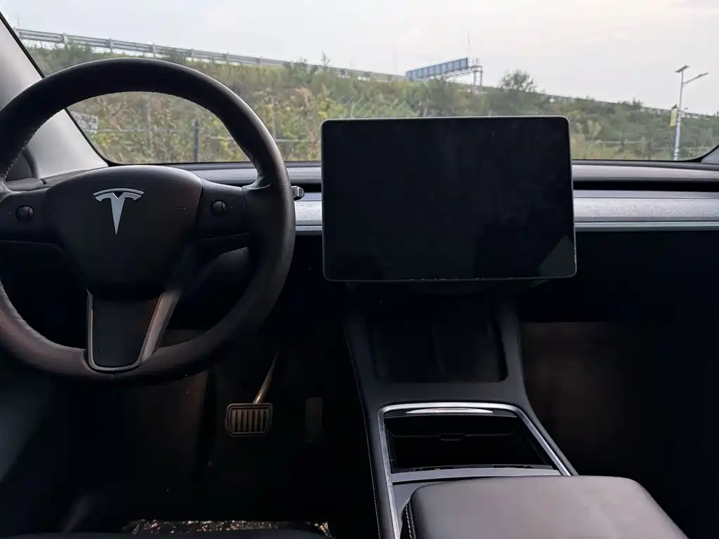Tesla Model Y — фото 15