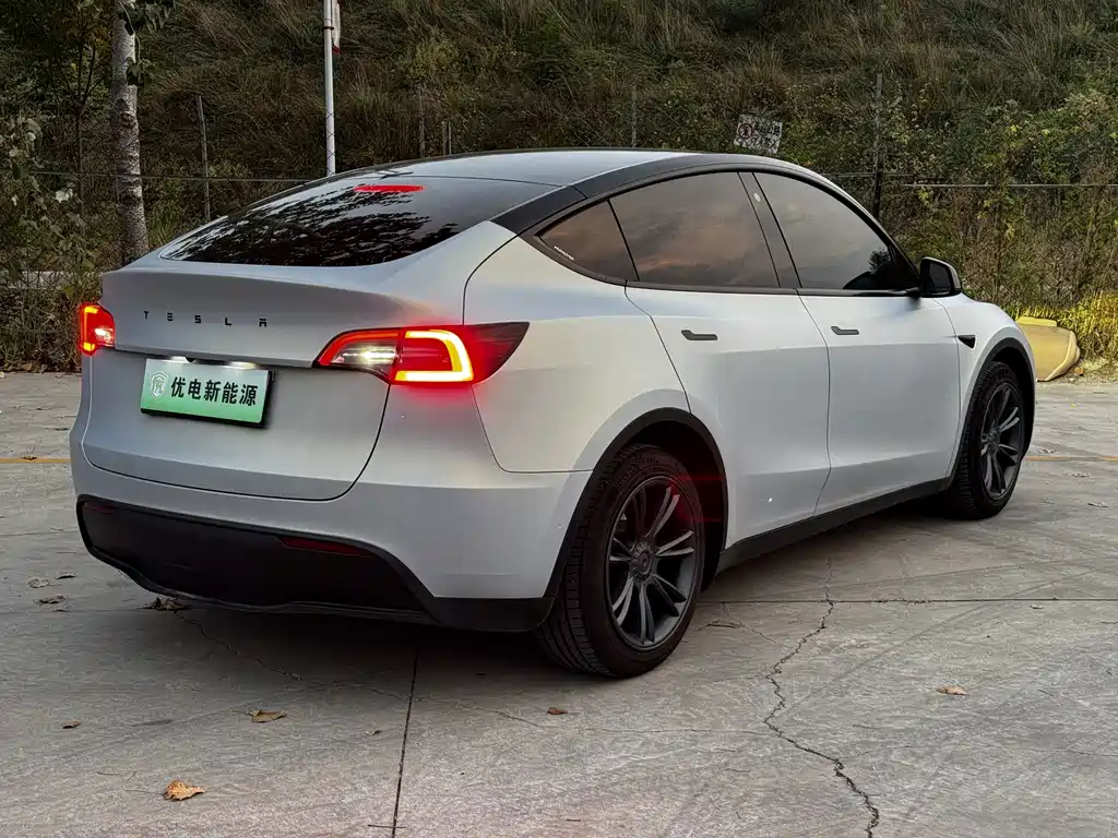 Tesla Model Y — фото 3