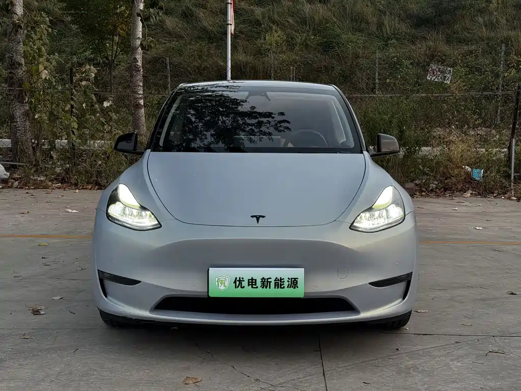 Tesla Model Y — фото 5