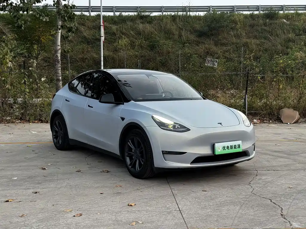 Tesla Model Y — фото 6