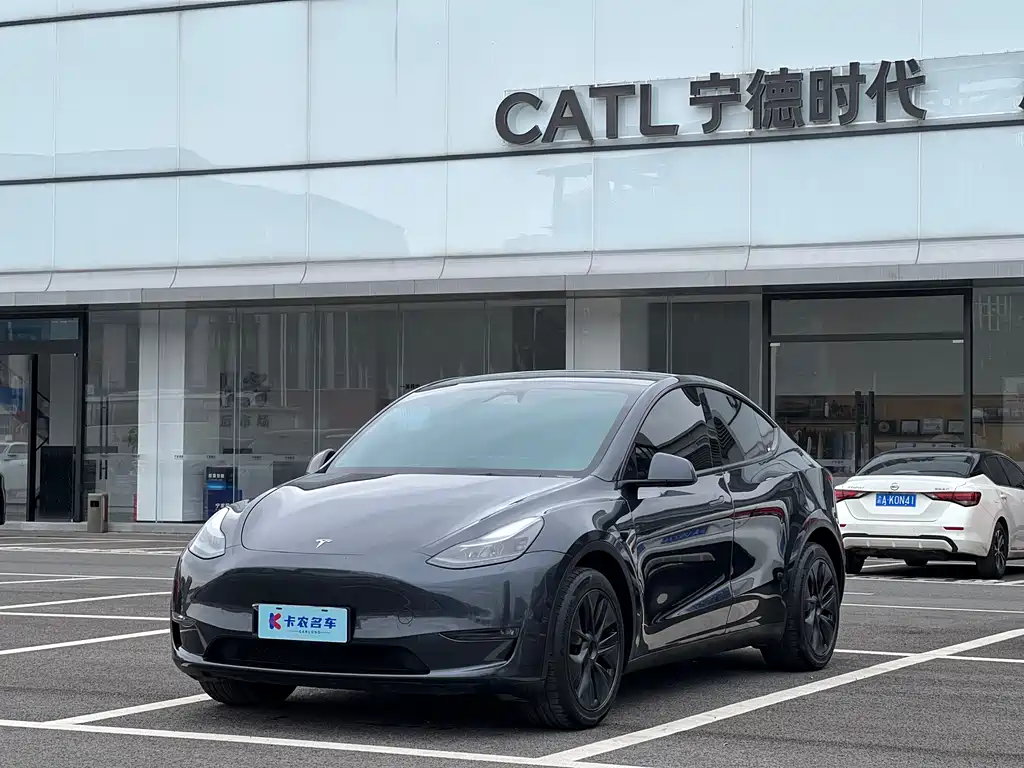 Tesla Model Y — фото 2