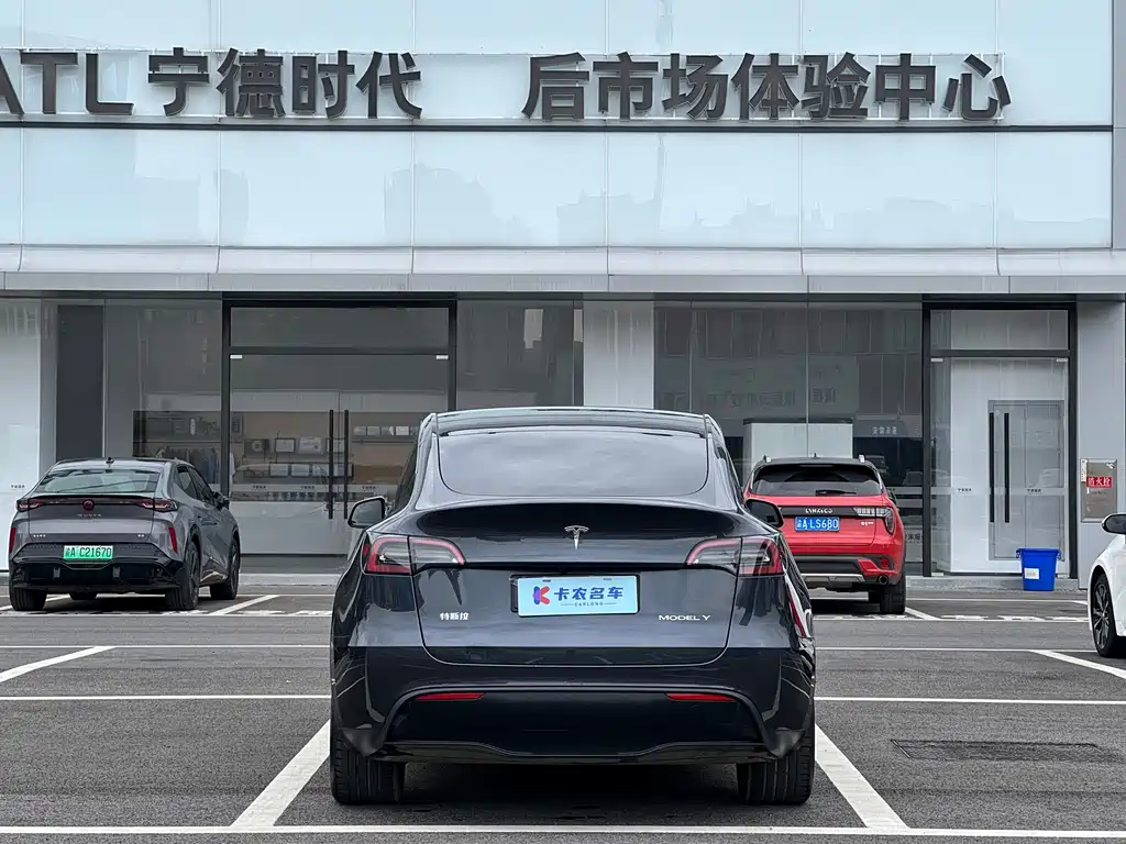 Tesla Model Y — фото 3