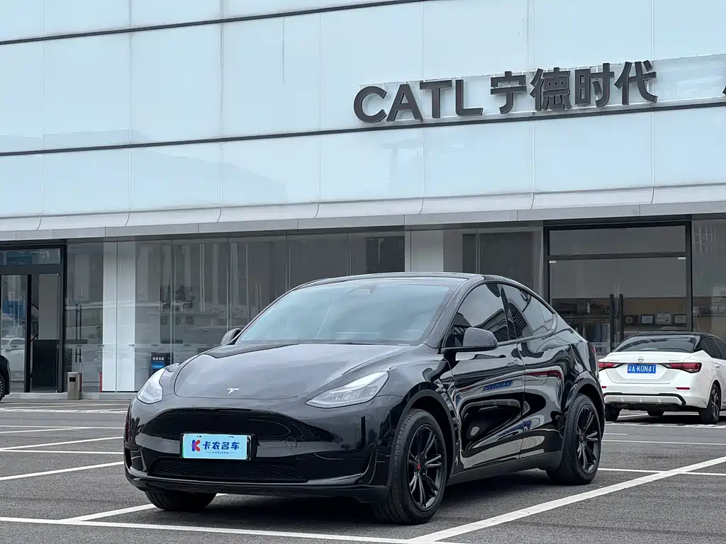 Tesla Model Y — фото 2