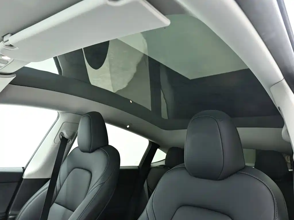 Tesla Model Y — фото 13