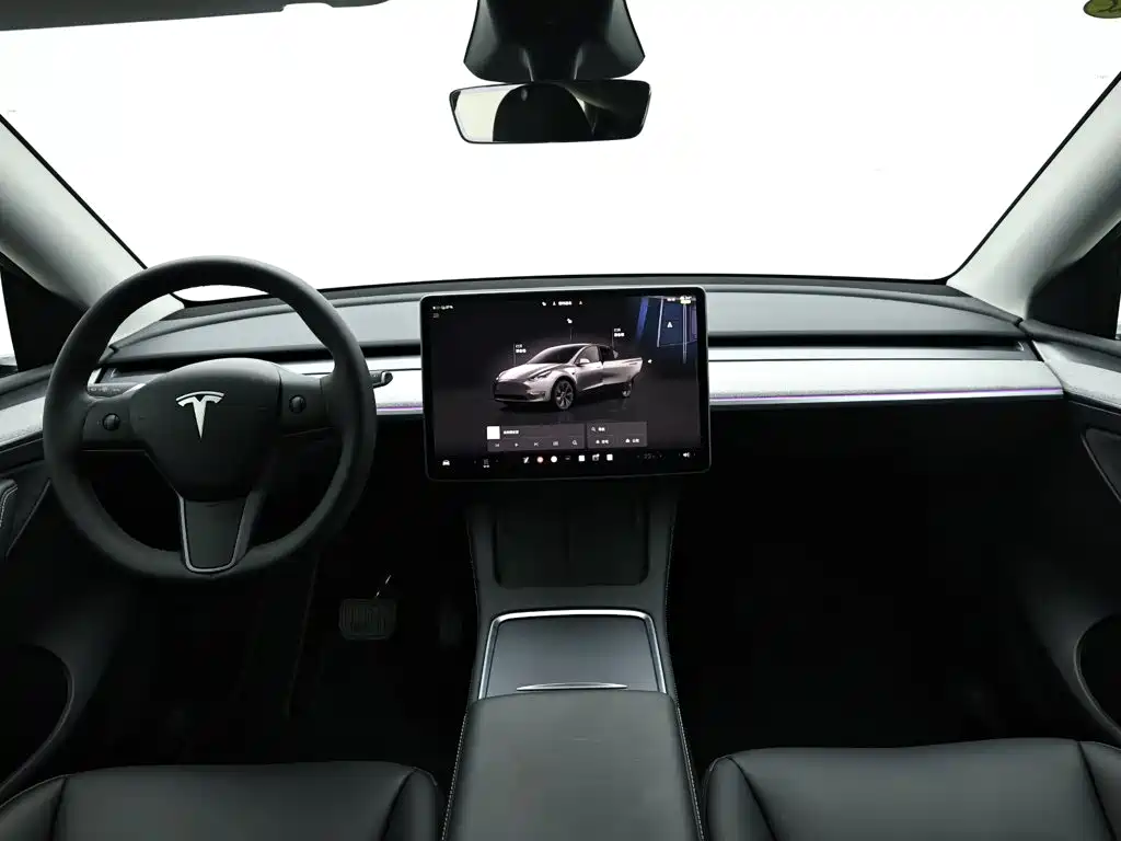 Tesla Model Y — фото 15