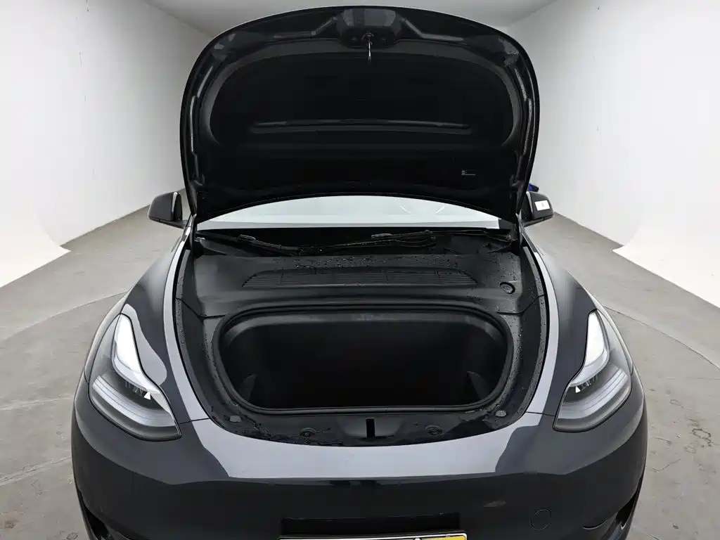 Tesla Model Y — фото 17
