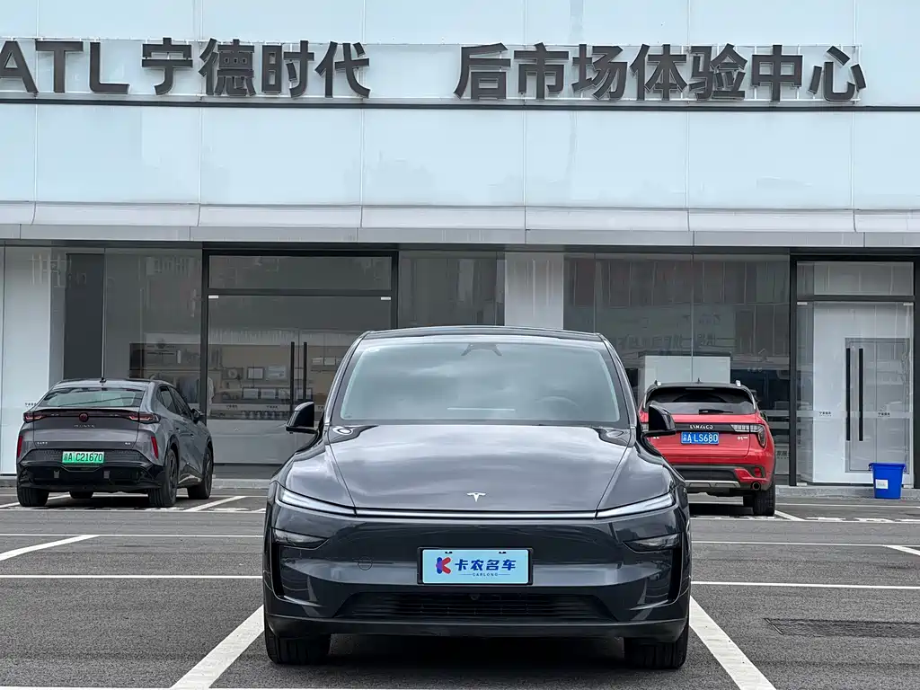 Tesla Model Y — фото 3